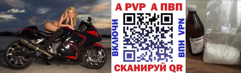 закладки  Курильск  Альфа ПВП СК КРИС 