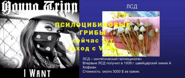 спиды Балахна